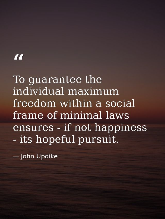 To guarantee the individual maximum freedom within a social frame of minimal laws ensures - if not happiness - its hopef — John Updike