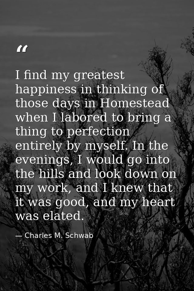 I find my greatest happiness in thinking of those days in Homestead when I labored to bring a thing to perfection entire — Charles M. Schwab