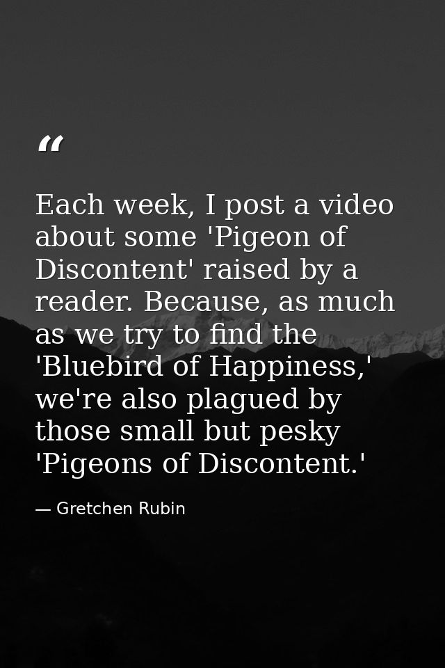 Each week, I post a video about some 'Pigeon of Discontent' raised by a reader. Because, as much as we try to find the ' — Gretchen Rubin