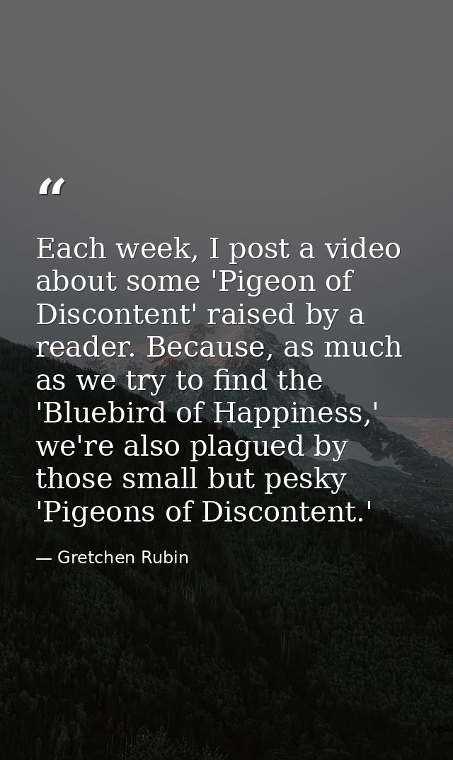 Each week, I post a video about some 'Pigeon of Discontent' raised by a reader. Because, as much as we try to find the ' — Gretchen Rubin
