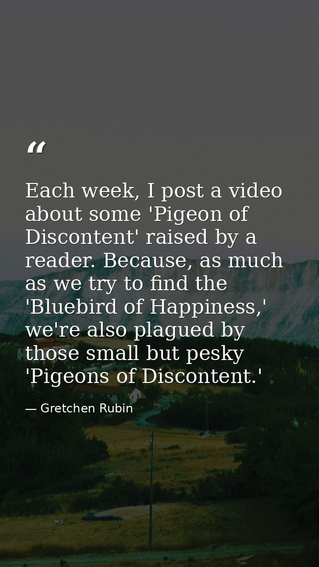 Each week, I post a video about some 'Pigeon of Discontent' raised by a reader. Because, as much as we try to find the ' — Gretchen Rubin