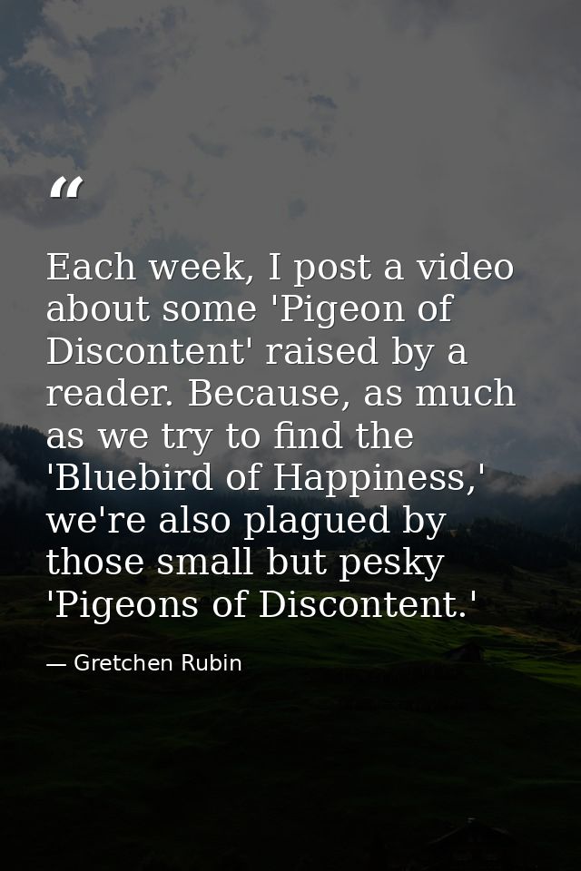 Each week, I post a video about some 'Pigeon of Discontent' raised by a reader. Because, as much as we try to find the ' — Gretchen Rubin