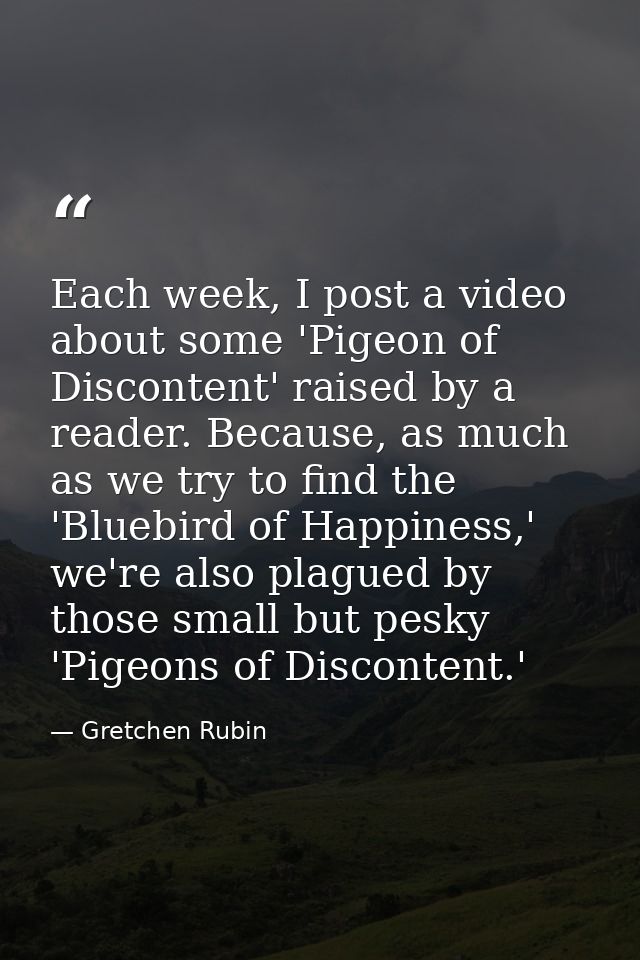 Each week, I post a video about some 'Pigeon of Discontent' raised by a reader. Because, as much as we try to find the ' — Gretchen Rubin