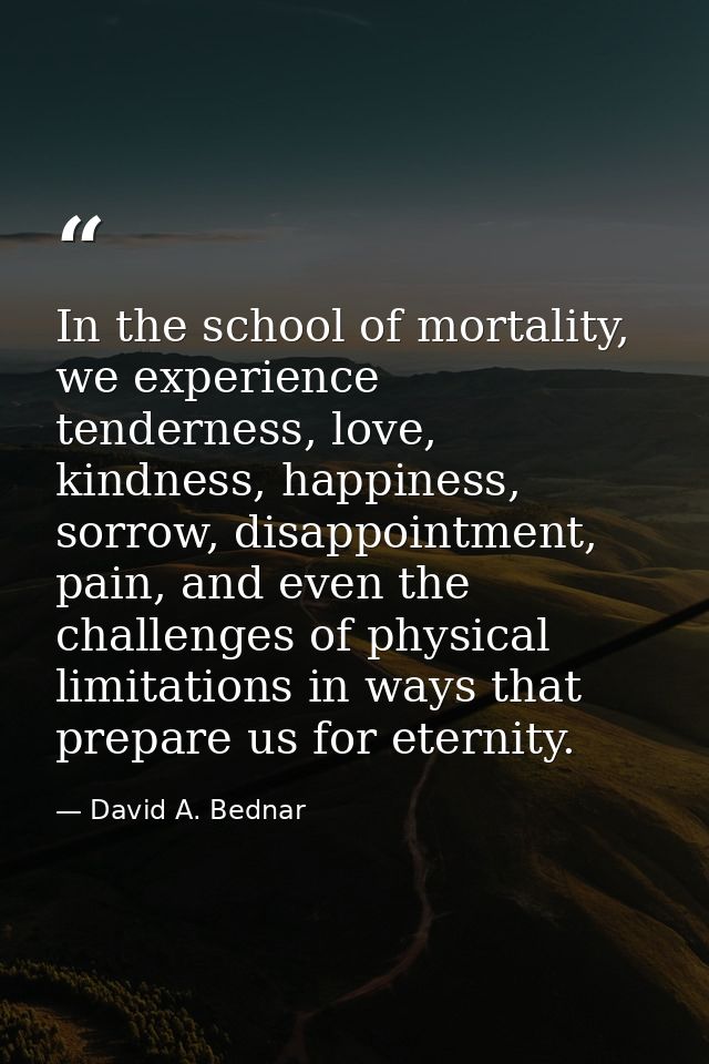 In the school of mortality, we experience tenderness, love, kindness, happiness, sorrow, disappointment, pain, and even  — David A. Bednar