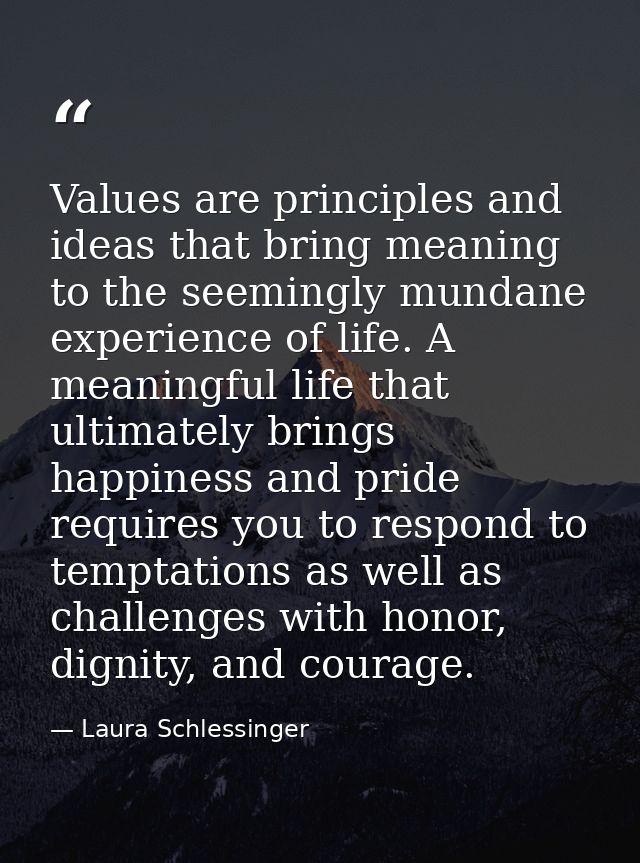 Values are principles and ideas that bring meaning to the seemingly mundane experience of life. A meaningful life that u — Laura Schlessinger