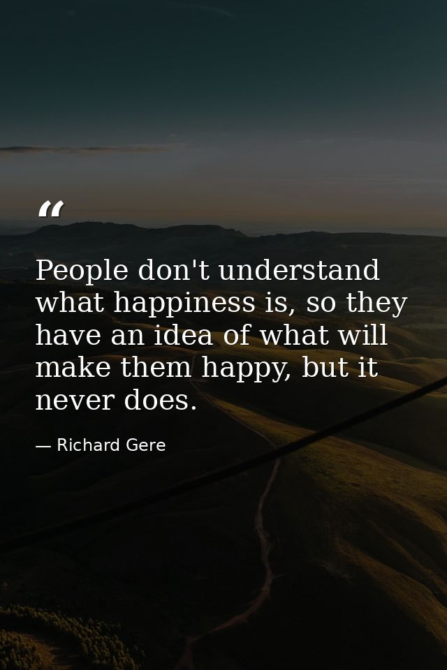 People don't understand what happiness is, so they have an idea of what will make them happy, but it never does. — Richard Gere