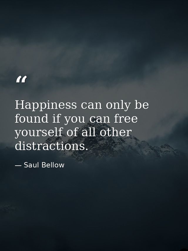 Happiness can only be found if you can free yourself of all other distractions. — Saul Bellow