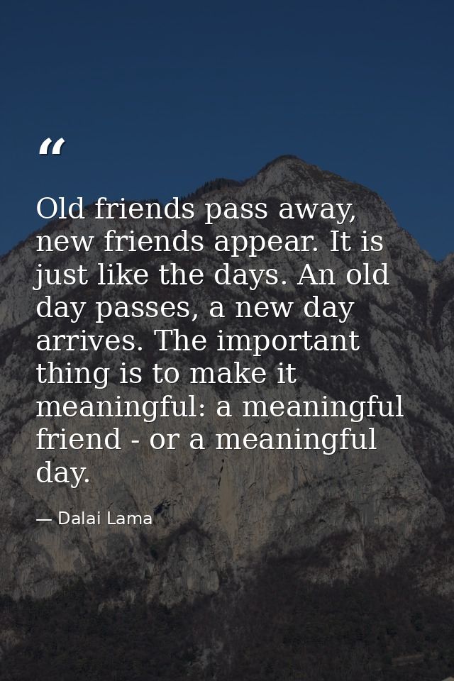 Old friends pass away, new friends appear. It is just like the days. An old day passes, a new day arrives. The important — Dalai Lama