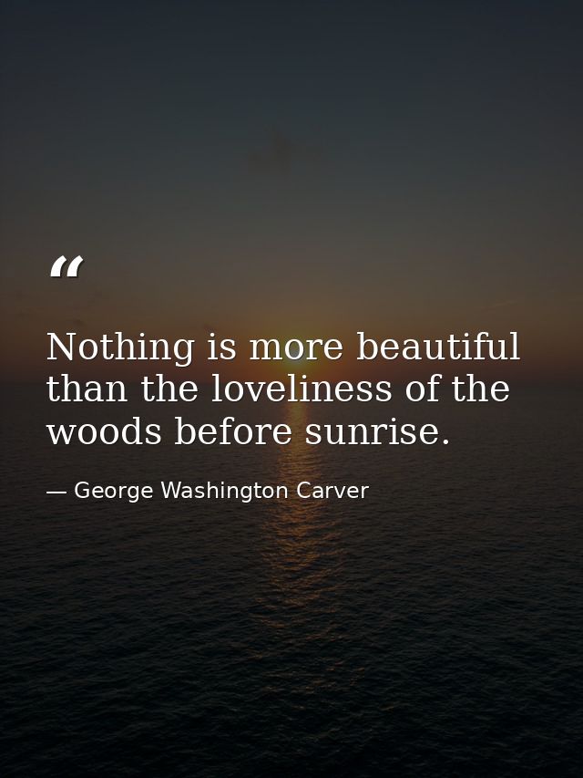 Nothing is more beautiful than the loveliness of the woods before sunrise. — George Washington Carver