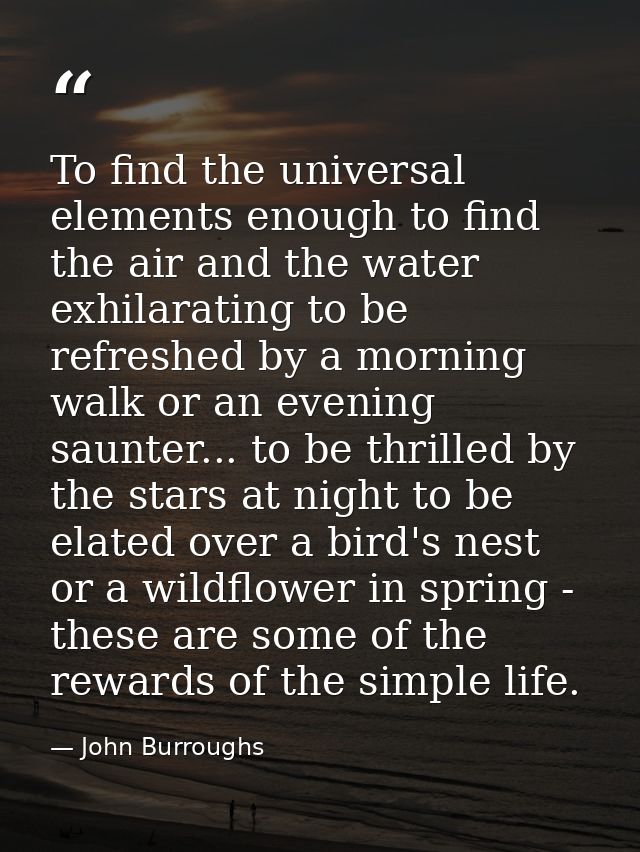 To find the universal elements enough to find the air and the water exhilarating to be refreshed by a morning walk or an — John Burroughs