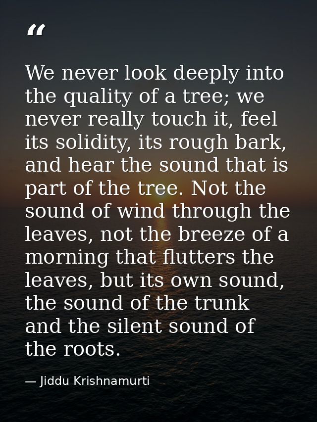 We never look deeply into the quality of a tree; we never really touch it, feel its solidity, its rough bark, and hear t — Jiddu Krishnamurti