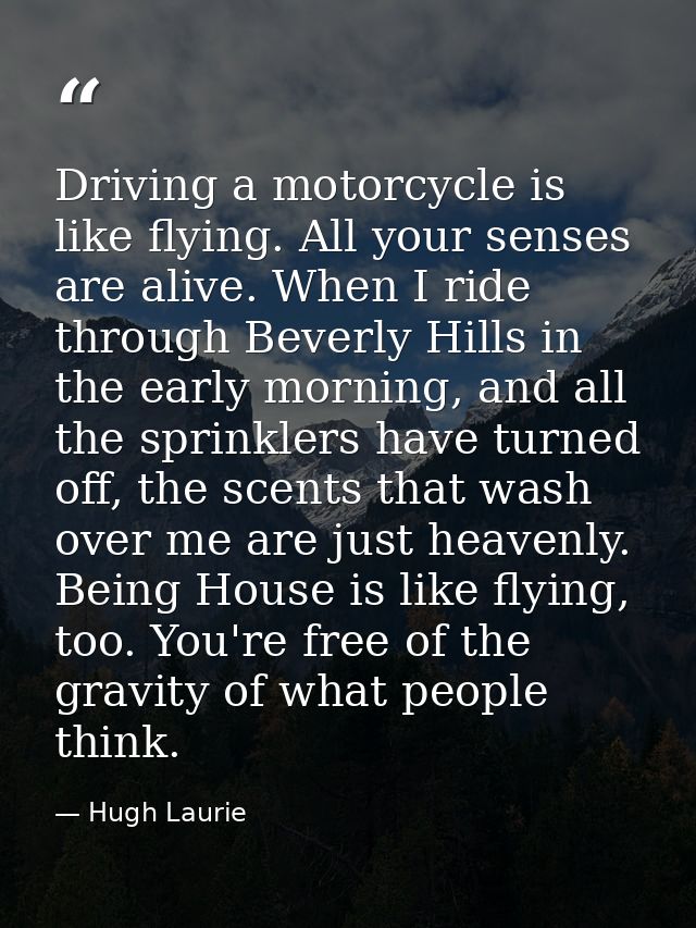 Driving a motorcycle is like flying. All your senses are alive. When I ride through Beverly Hills in the early morning,  — Hugh Laurie