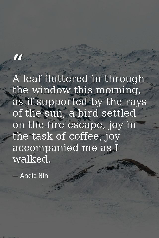 A leaf fluttered in through the window this morning, as if supported by the rays of the sun, a bird settled on the fire  — Anais Nin