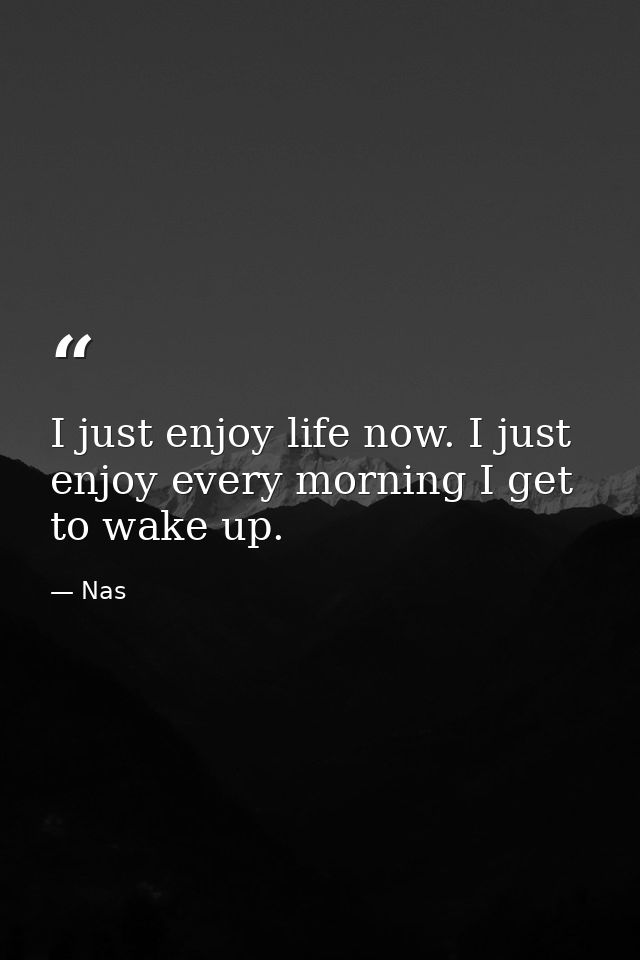 I just enjoy life now. I just enjoy every morning I get to wake up. — Nas