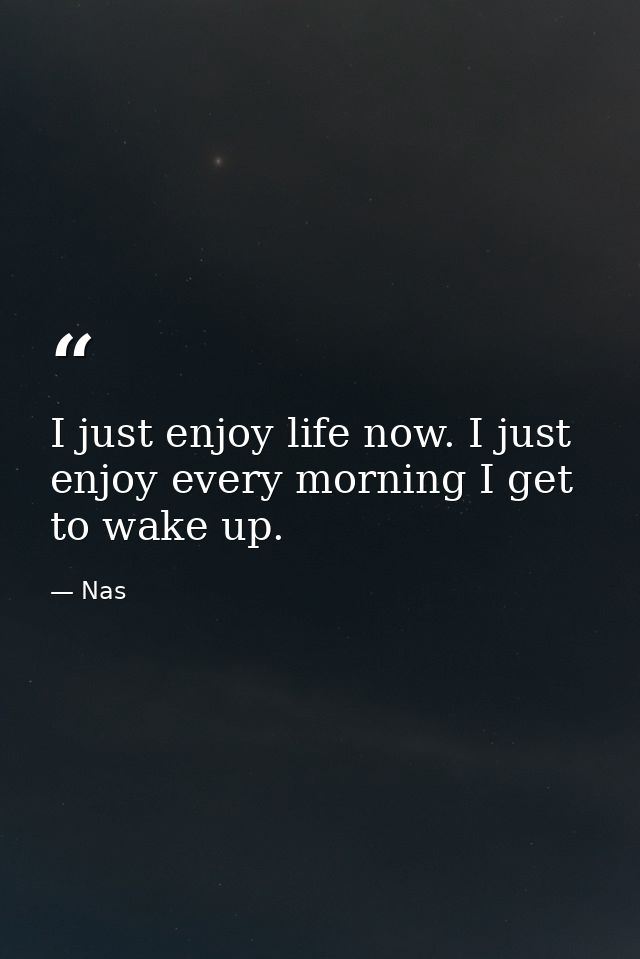 I just enjoy life now. I just enjoy every morning I get to wake up. — Nas
