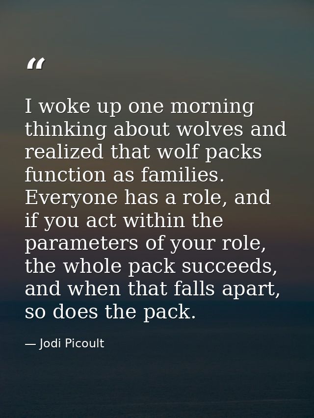 I woke up one morning thinking about wolves and realized that wolf packs function as families. Everyone has a role, and  — Jodi Picoult