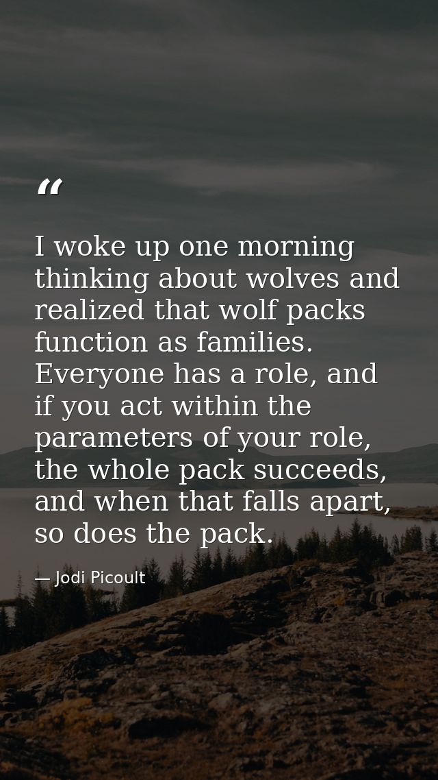 I woke up one morning thinking about wolves and realized that wolf packs function as families. Everyone has a role, and  — Jodi Picoult