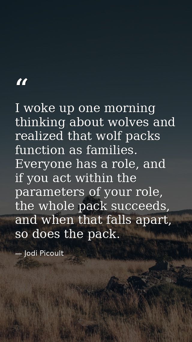 I woke up one morning thinking about wolves and realized that wolf packs function as families. Everyone has a role, and  — Jodi Picoult