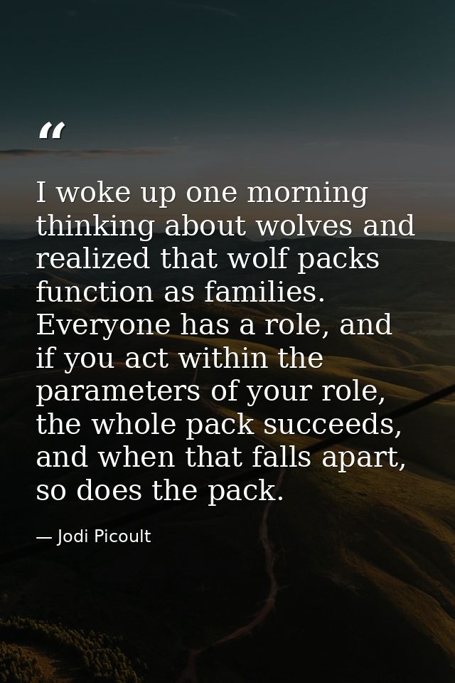 I woke up one morning thinking about wolves and realized that wolf packs function as families. Everyone has a role, and  — Jodi Picoult