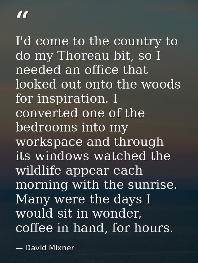 I'd come to the country to do my Thoreau bit, so I needed an office that looked out onto the woods for inspiration. I co — David Mixner