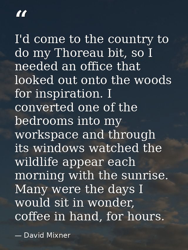 I'd come to the country to do my Thoreau bit, so I needed an office that looked out onto the woods for inspiration. I co — David Mixner