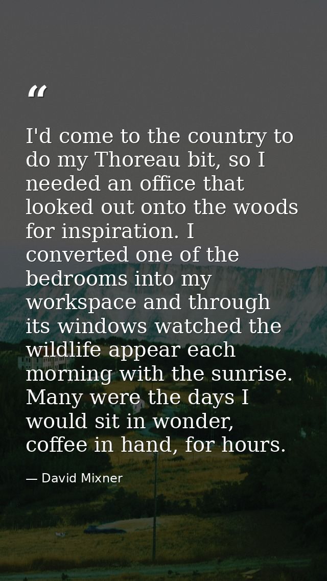 I'd come to the country to do my Thoreau bit, so I needed an office that looked out onto the woods for inspiration. I co — David Mixner