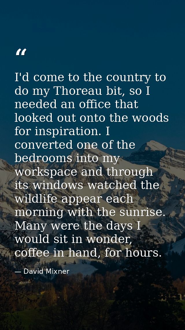 I'd come to the country to do my Thoreau bit, so I needed an office that looked out onto the woods for inspiration. I co — David Mixner