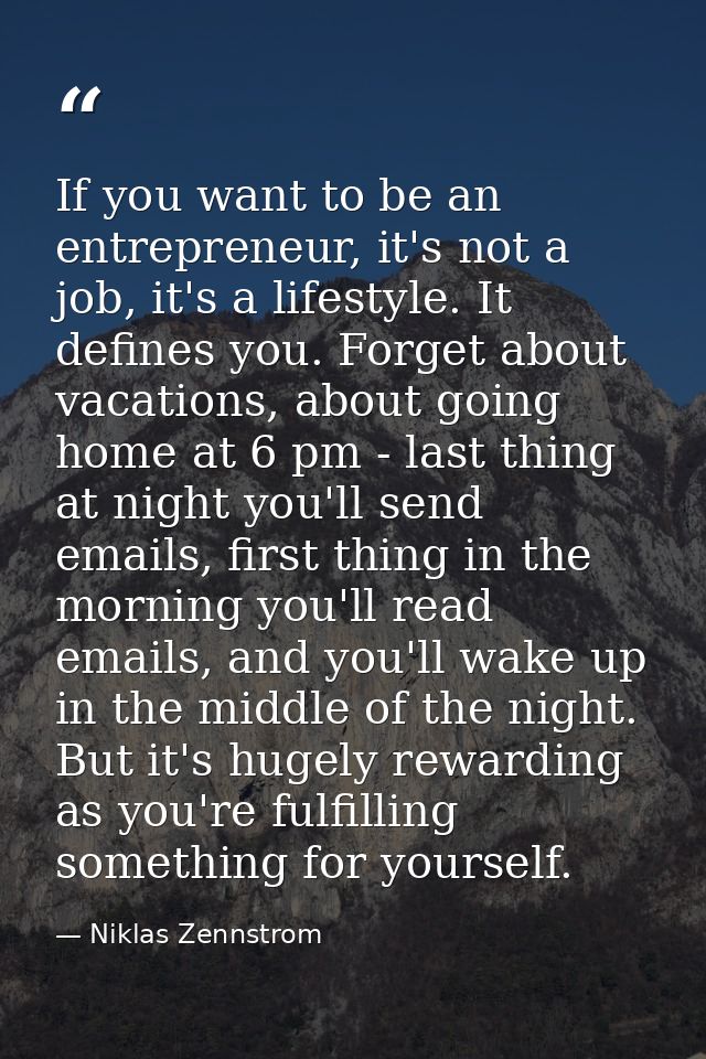 If you want to be an entrepreneur, it's not a job, it's a lifestyle. It defines you. Forget about vacations, about going — Niklas Zennstrom