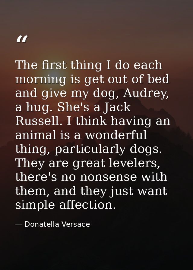 The first thing I do each morning is get out of bed and give my dog, Audrey, a hug. She's a Jack Russell. I think having — Donatella Versace