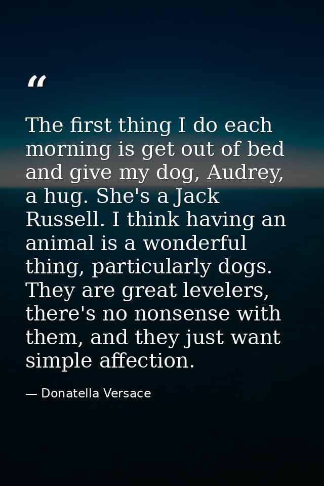 The first thing I do each morning is get out of bed and give my dog, Audrey, a hug. She's a Jack Russell. I think having — Donatella Versace
