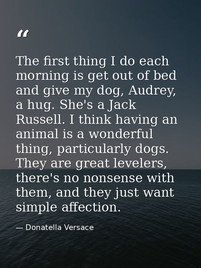 The first thing I do each morning is get out of bed and give my dog, Audrey, a hug. She's a Jack Russell. I think having — Donatella Versace