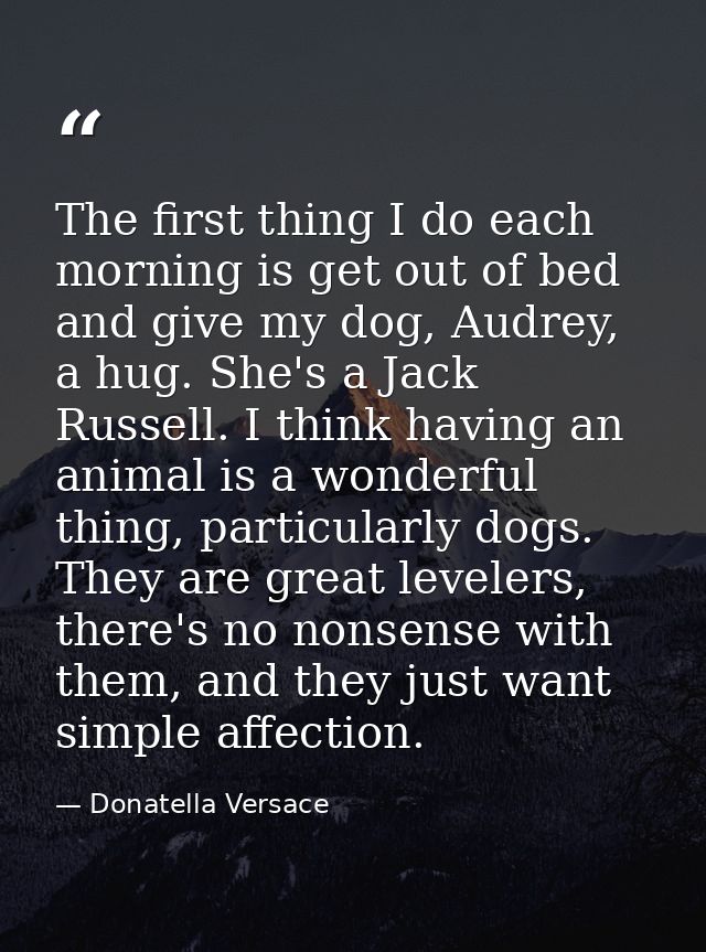 The first thing I do each morning is get out of bed and give my dog, Audrey, a hug. She's a Jack Russell. I think having — Donatella Versace