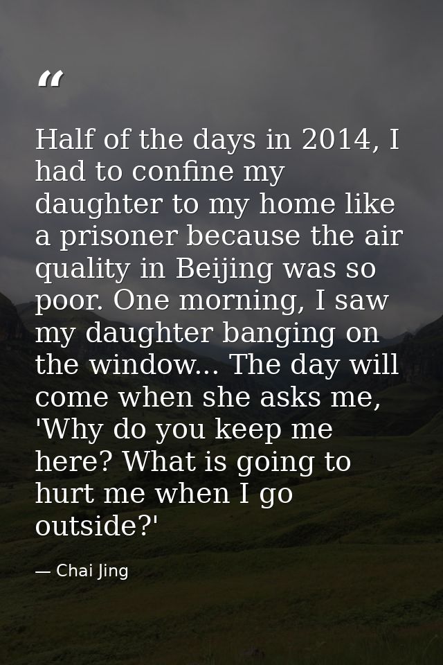 Half of the days in 2014, I had to confine my daughter to my home like a prisoner because the air quality in Beijing was — Chai Jing