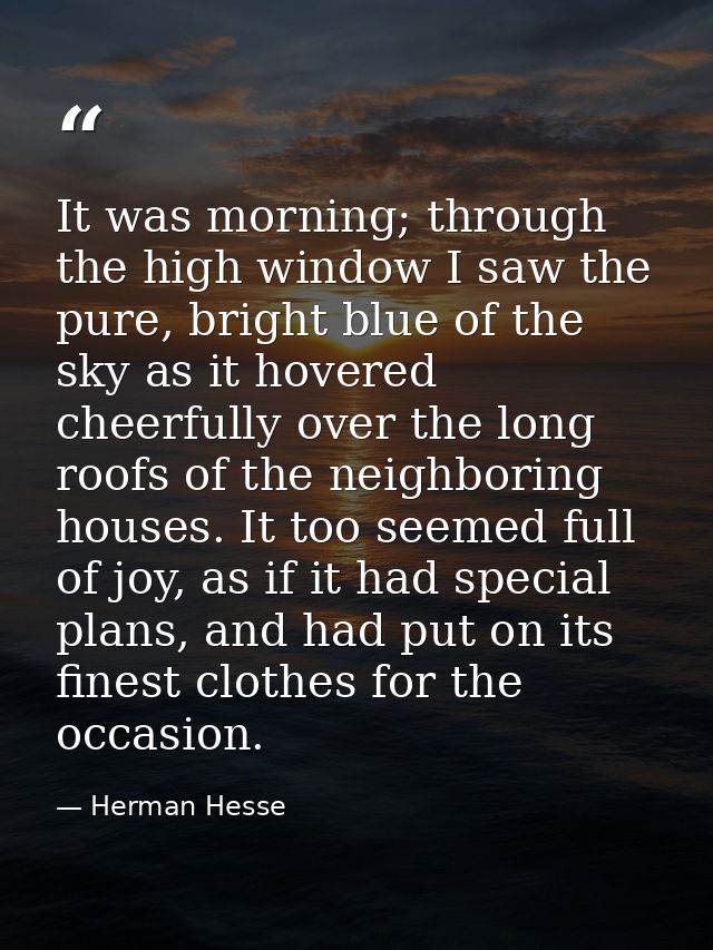 It was morning; through the high window I saw the pure, bright blue of the sky as it hovered cheerfully over the long ro — Herman Hesse