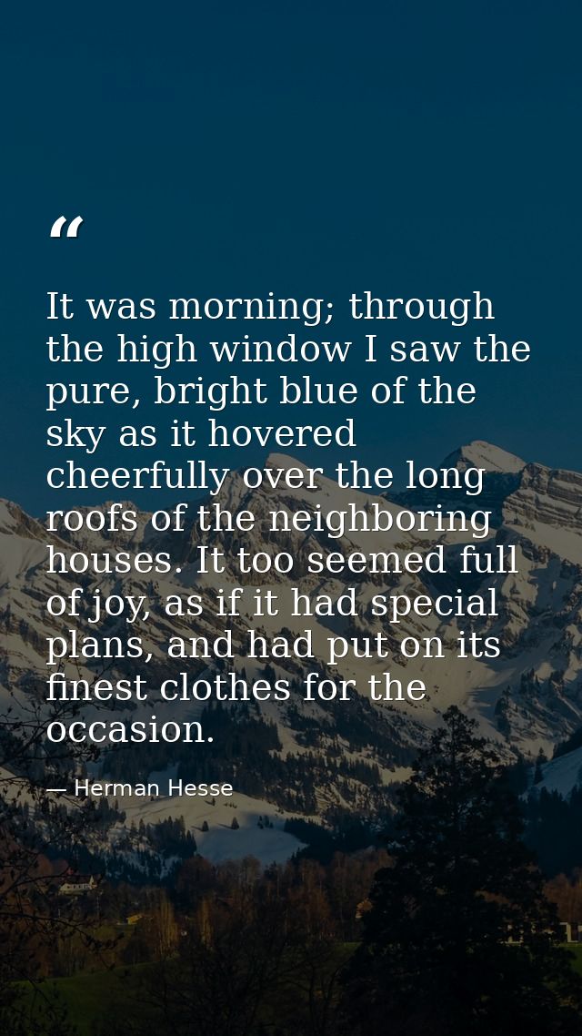 It was morning; through the high window I saw the pure, bright blue of the sky as it hovered cheerfully over the long ro — Herman Hesse