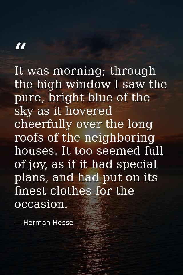 It was morning; through the high window I saw the pure, bright blue of the sky as it hovered cheerfully over the long ro — Herman Hesse