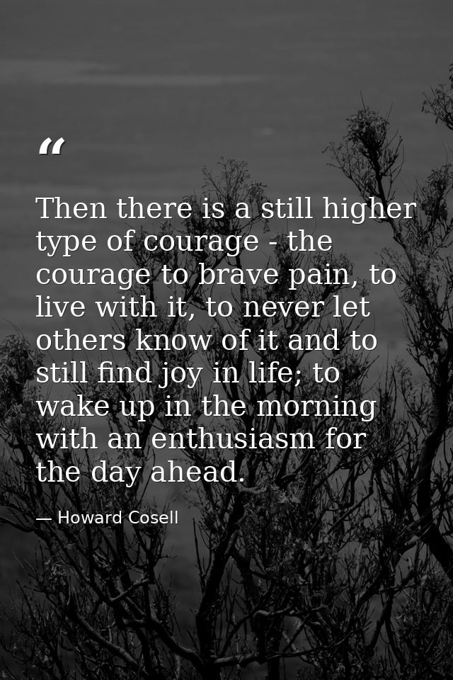 Then there is a still higher type of courage - the courage to brave pain, to live with it, to never let others know of i — Howard Cosell