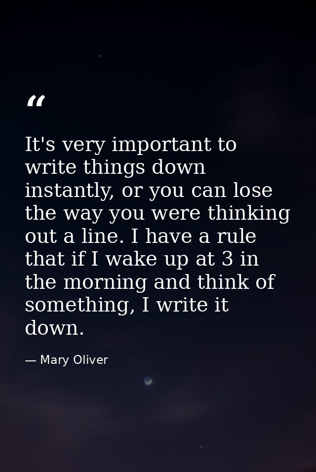 It's very important to write things down instantly, or you can lose the way you were thinking out a line. I have a rule  — Mary Oliver