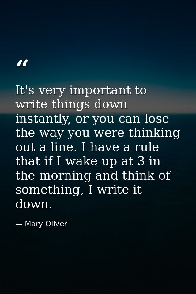 It's very important to write things down instantly, or you can lose the way you were thinking out a line. I have a rule  — Mary Oliver
