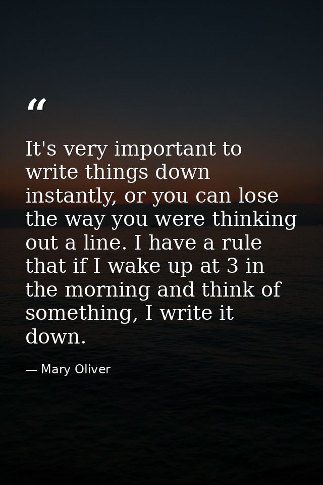 It's very important to write things down instantly, or you can lose the way you were thinking out a line. I have a rule  — Mary Oliver