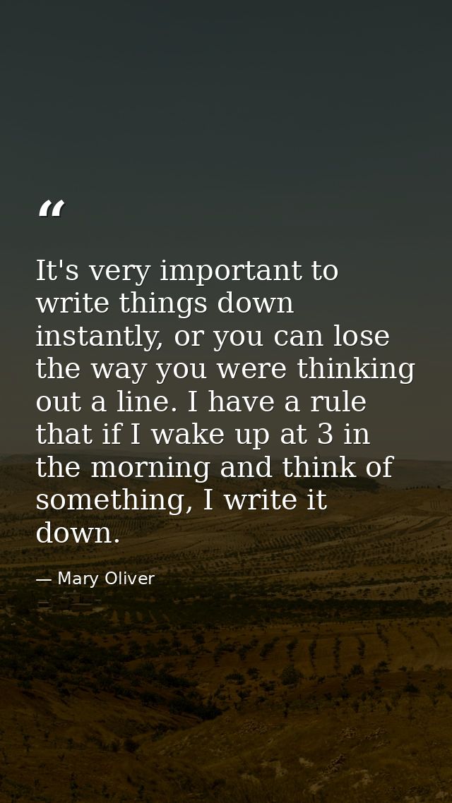 It's very important to write things down instantly, or you can lose the way you were thinking out a line. I have a rule  — Mary Oliver