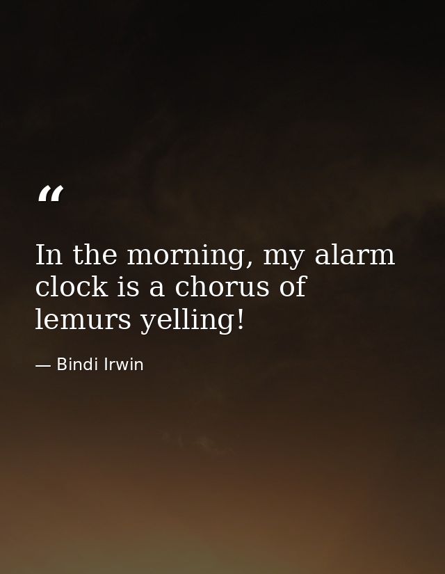 In the morning, my alarm clock is a chorus of lemurs yelling! — Bindi Irwin