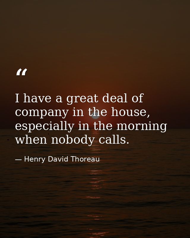 I have a great deal of company in the house, especially in the morning when nobody calls. — Henry David Thoreau