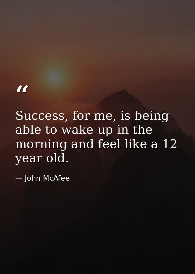 Success, for me, is being able to wake up in the morning and feel like a 12 year old. — John McAfee