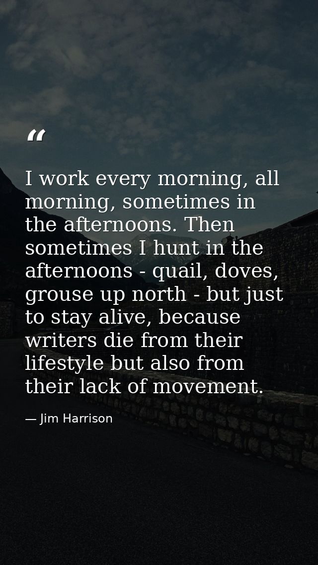 I work every morning, all morning, sometimes in the afternoons. Then sometimes I hunt in the afternoons - quail, doves,  — Jim Harrison