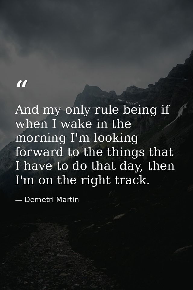 And my only rule being if when I wake in the morning I'm looking forward to the things that I have to do that day, then  — Demetri Martin
