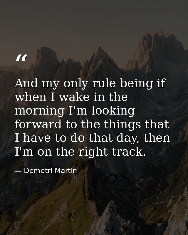 And my only rule being if when I wake in the morning I'm looking forward to the things that I have to do that day, then  — Demetri Martin