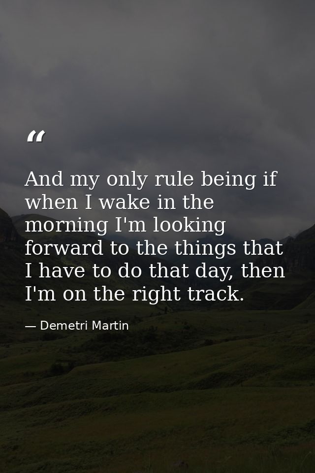 And my only rule being if when I wake in the morning I'm looking forward to the things that I have to do that day, then  — Demetri Martin
