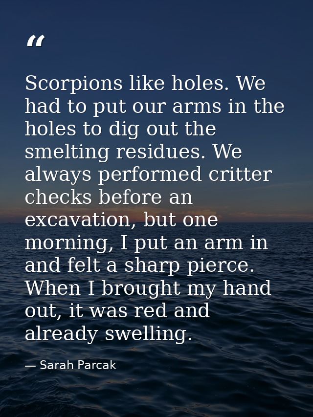 Scorpions like holes. We had to put our arms in the holes to dig out the smelting residues. We always performed critter  — Sarah Parcak