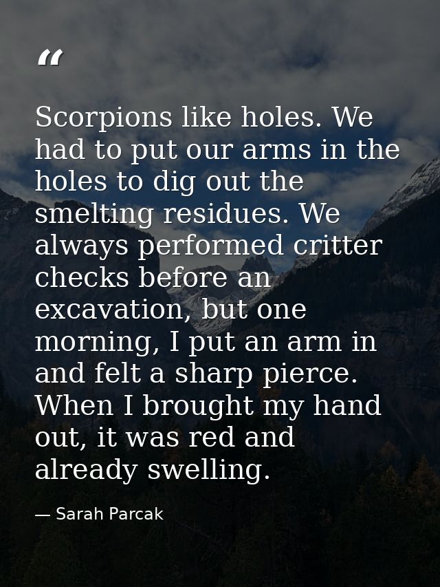 Scorpions like holes. We had to put our arms in the holes to dig out the smelting residues. We always performed critter  — Sarah Parcak